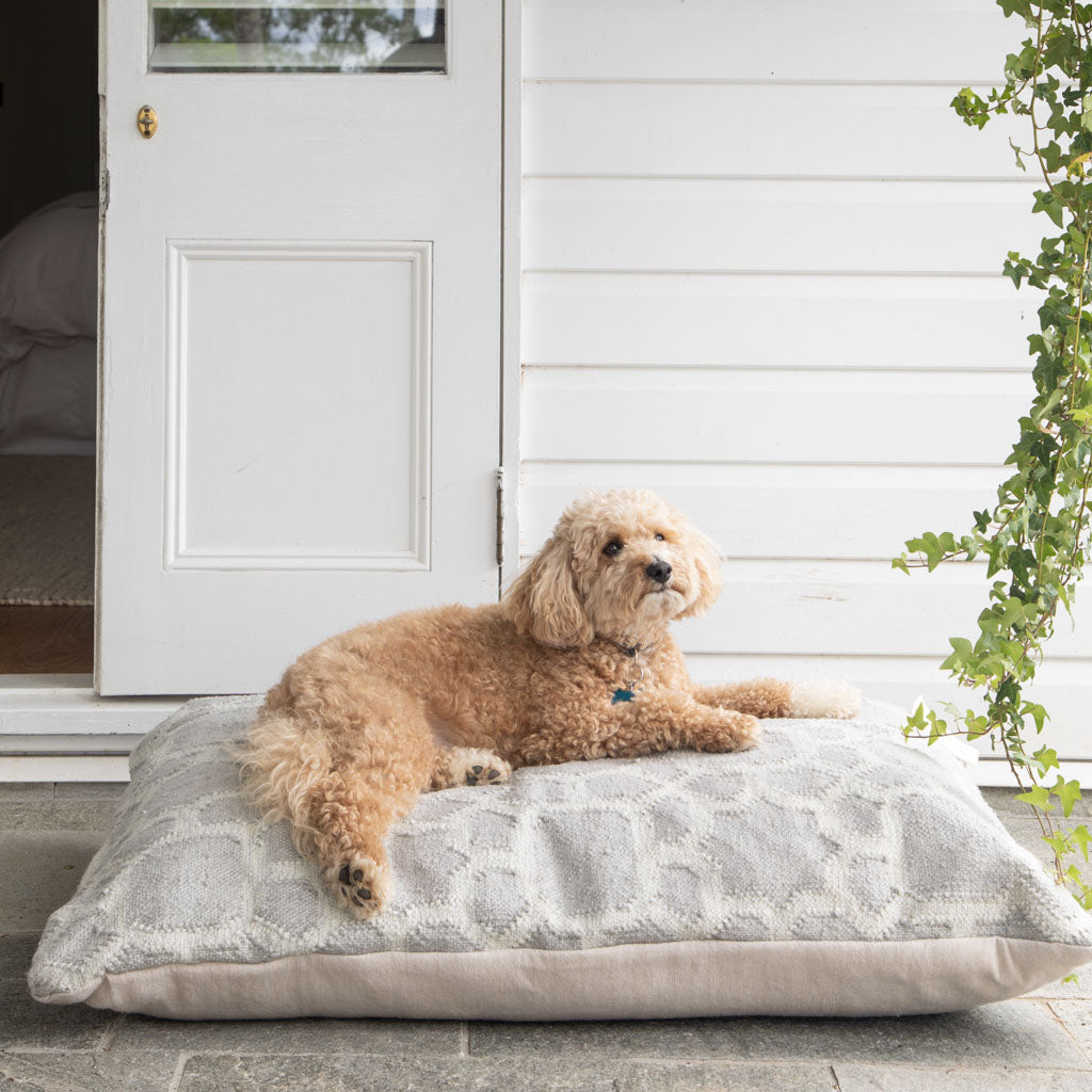 Dog beds outlet aus